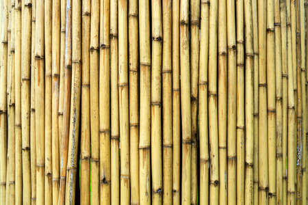 bamboe schutting